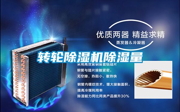 轉(zhuǎn)輪除濕機除濕量