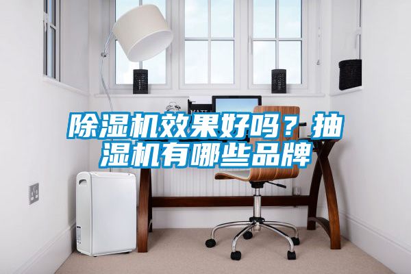 除濕機(jī)效果好嗎？抽濕機(jī)有哪些品牌