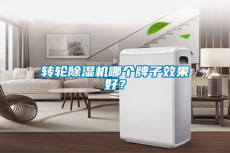 轉(zhuǎn)輪除濕機(jī)哪個牌子效果好？