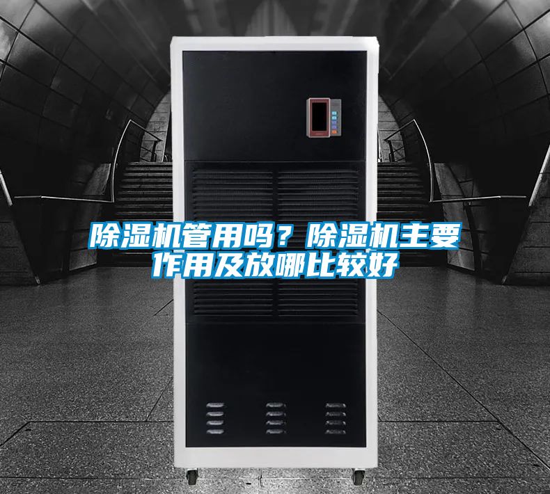 除濕機管用嗎？除濕機主要作用及放哪比較好