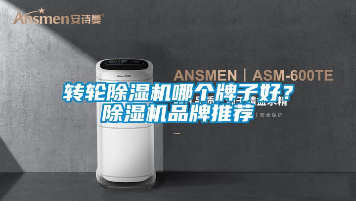 轉輪除濕機哪個牌子好？除濕機品牌推薦