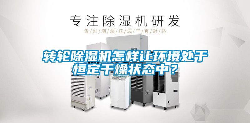 轉(zhuǎn)輪除濕機怎樣讓環(huán)境處于恒定干燥狀態(tài)中？