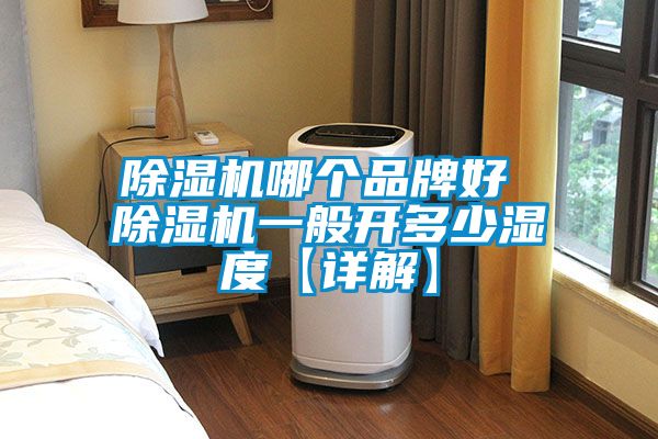 除濕機(jī)哪個(gè)品牌好 除濕機(jī)一般開(kāi)多少濕度【詳解】