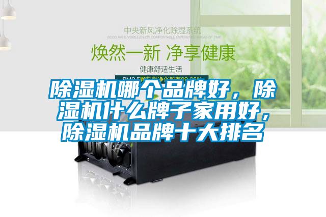 除濕機(jī)哪個(gè)品牌好，除濕機(jī)什么牌子家用好，除濕機(jī)品牌十大排名