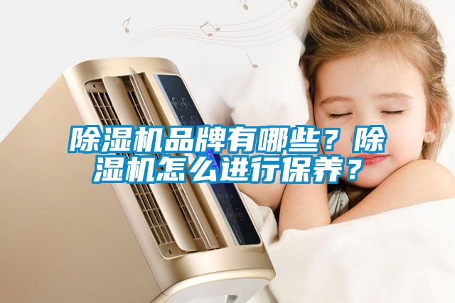 除濕機(jī)品牌有哪些？除濕機(jī)怎么進(jìn)行保養(yǎng)？