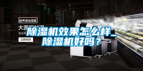 除濕機(jī)效果怎么樣_除濕機(jī)好嗎？