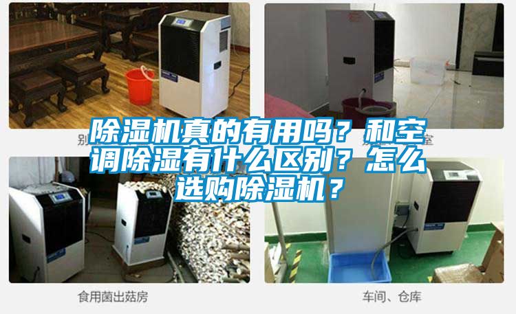 除濕機(jī)真的有用嗎？和空調(diào)除濕有什么區(qū)別？怎么選購(gòu)除濕機(jī)？