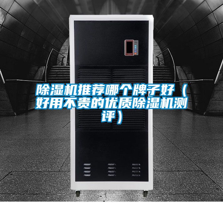 除濕機(jī)推薦哪個牌子好（好用不貴的優(yōu)質(zhì)除濕機(jī)測評）