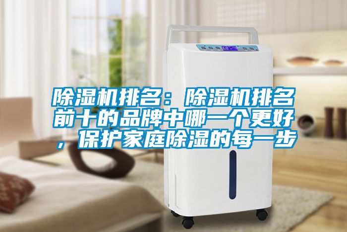 除濕機(jī)排名：除濕機(jī)排名前十的品牌中哪一個更好，保護(hù)家庭除濕的每一步