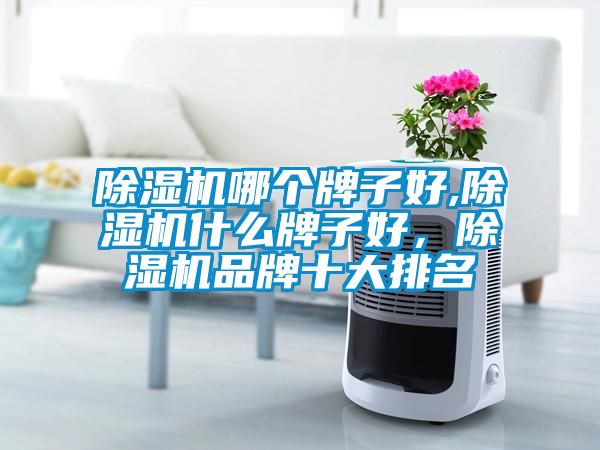 除濕機哪個牌子好,除濕機什么牌子好，除濕機品牌十大排名