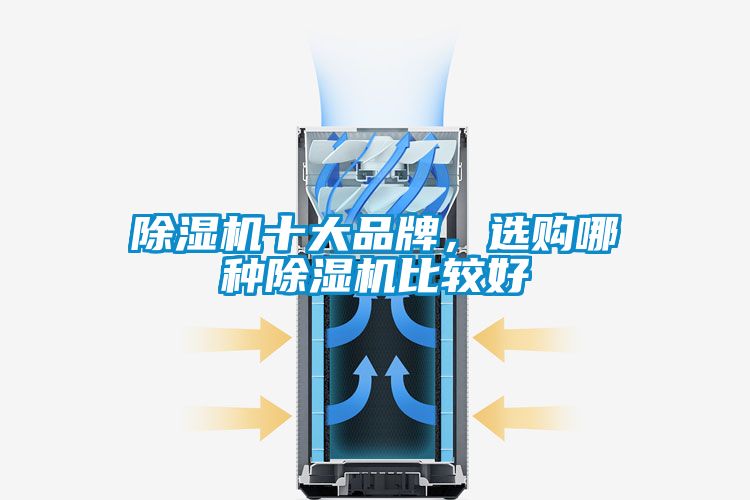 除濕機(jī)十大品牌，選購(gòu)哪種除濕機(jī)比較好