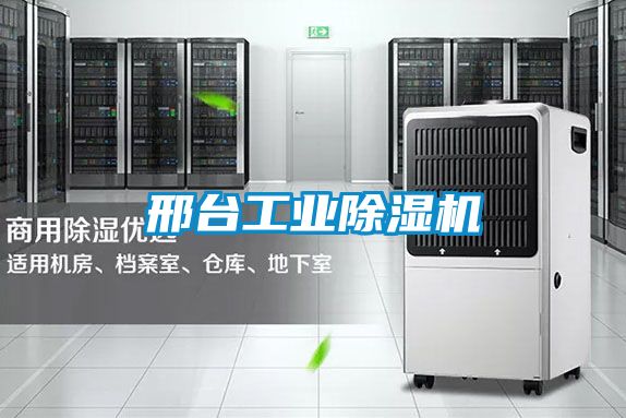 邢臺工業(yè)除濕機(jī)