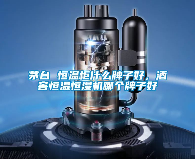 茅臺 恒溫柜什么牌子好，酒窖恒溫恒濕機(jī)哪個牌子好