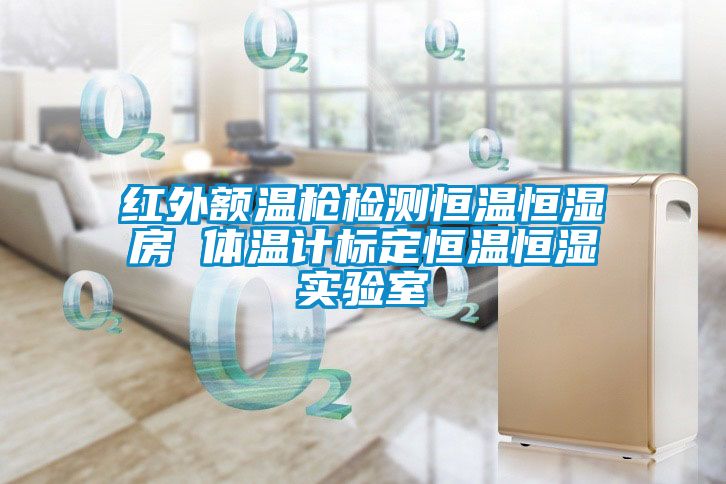 紅外額溫槍檢測恒溫恒濕房 體溫計(jì)標(biāo)定恒溫恒濕實(shí)驗(yàn)室