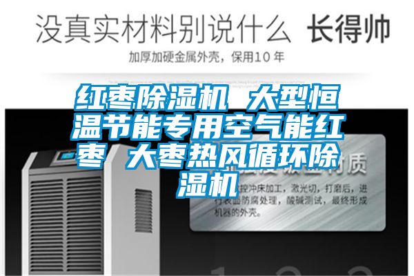 紅棗除濕機(jī) 大型恒溫節(jié)能專用空氣能紅棗 大棗熱風(fēng)循環(huán)除濕機(jī)