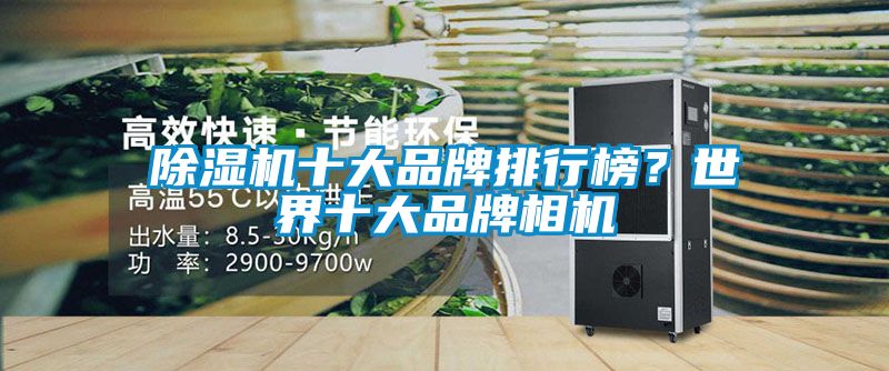 除濕機(jī)十大品牌排行榜？世界十大品牌相機(jī)