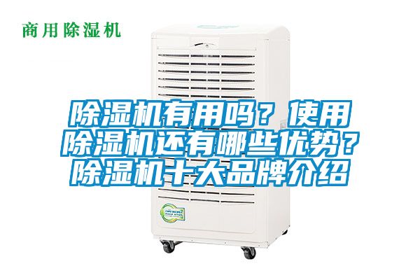 除濕機(jī)有用嗎？使用除濕機(jī)還有哪些優(yōu)勢？除濕機(jī)十大品牌介紹