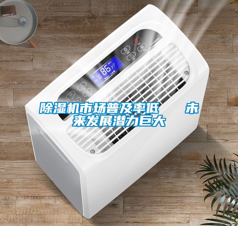 除濕機(jī)市場(chǎng)普及率低   未來(lái)發(fā)展?jié)摿薮?/></p>
						    <p style=