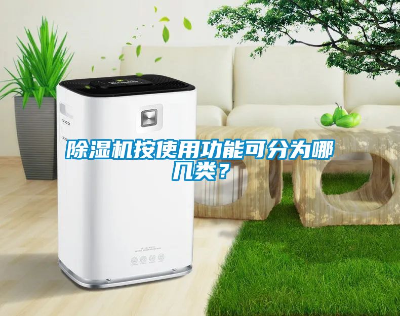 除濕機按使用功能可分為哪幾類？