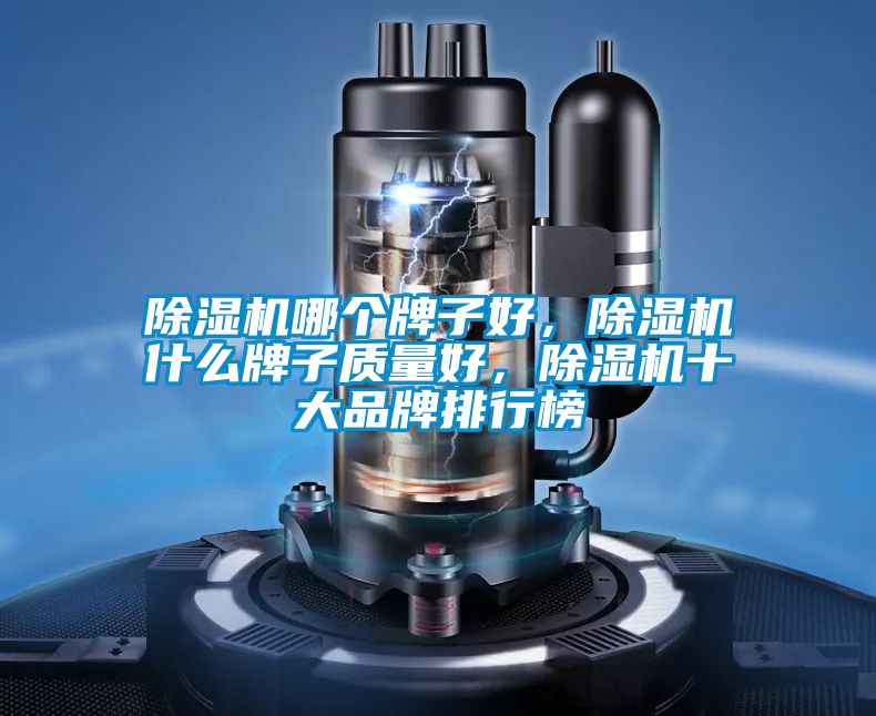 除濕機(jī)哪個(gè)牌子好，除濕機(jī)什么牌子質(zhì)量好，除濕機(jī)十大品牌排行榜