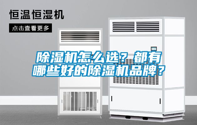 除濕機(jī)怎么選？都有哪些好的除濕機(jī)品牌？