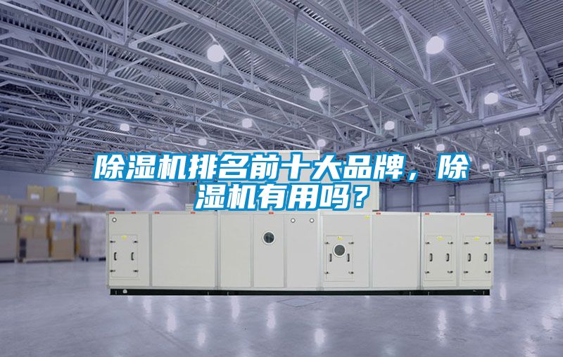 除濕機(jī)排名前十大品牌，除濕機(jī)有用嗎？