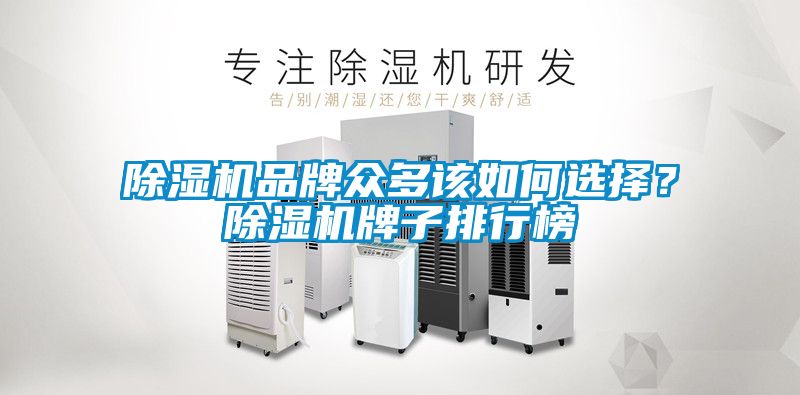 除濕機品牌眾多該如何選擇？除濕機牌子排行榜