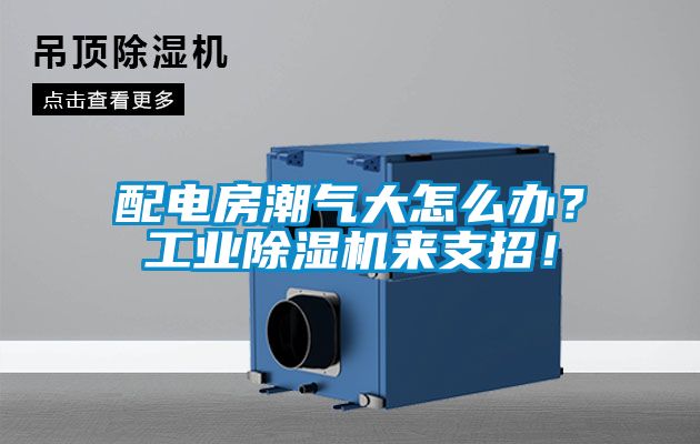 配電房潮氣大怎么辦？工業(yè)除濕機(jī)來支招！