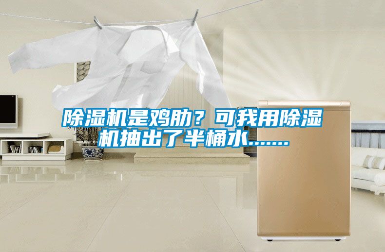 除濕機(jī)是雞肋？可我用除濕機(jī)抽出了半桶水.......