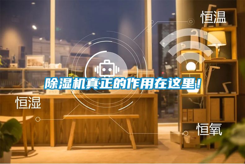 除濕機(jī)真正的作用在這里！