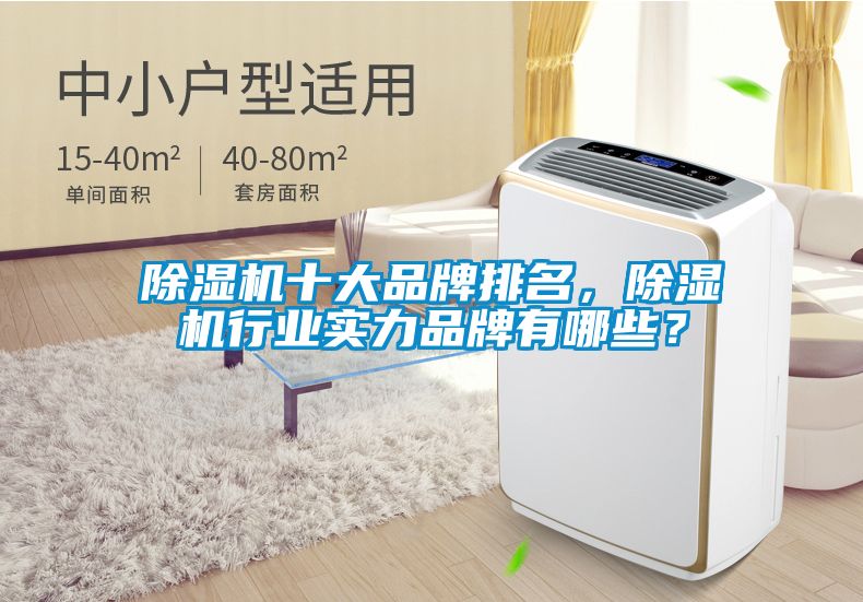 除濕機(jī)十大品牌排名，除濕機(jī)行業(yè)實(shí)力品牌有哪些？