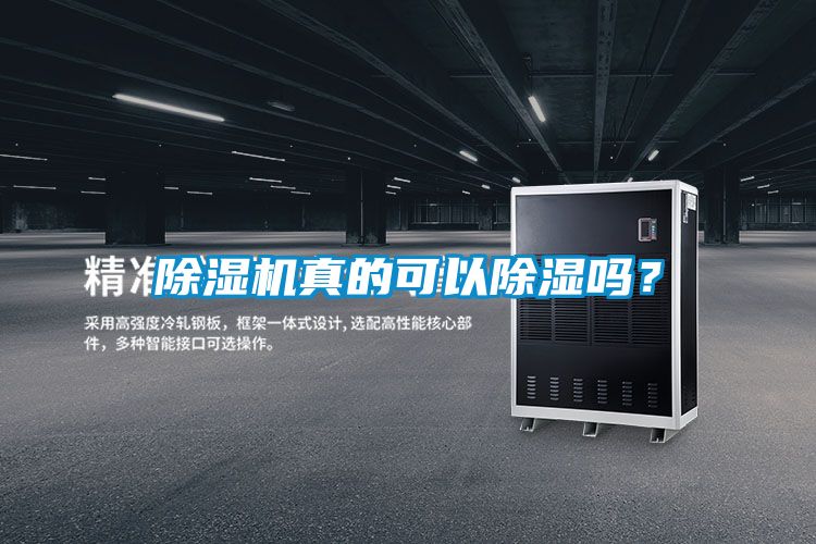 除濕機(jī)真的可以除濕嗎？