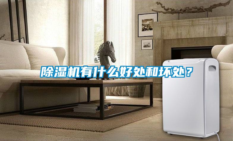 除濕機(jī)有什么好處和壞處？