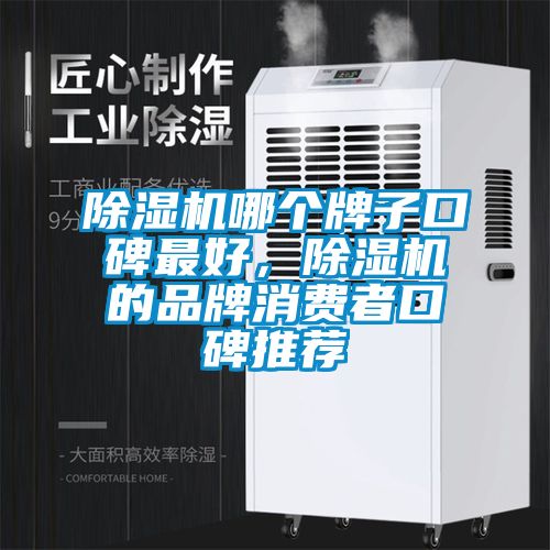 除濕機哪個牌子口碑最好，除濕機的品牌消費者口碑推薦