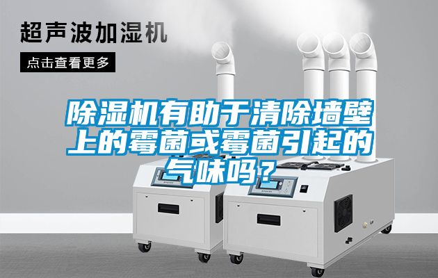 除濕機(jī)有助于清除墻壁上的霉菌或霉菌引起的氣味嗎？