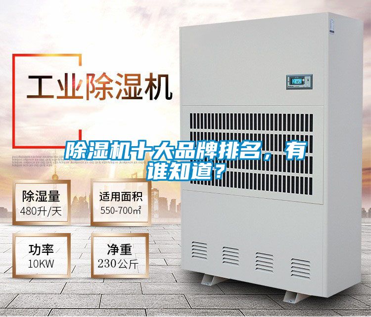 除濕機十大品牌排名，有誰知道？