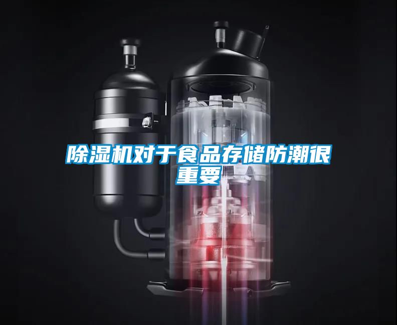 除濕機(jī)對(duì)于食品存儲(chǔ)防潮很重要