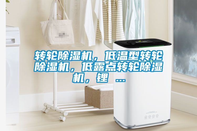 轉(zhuǎn)輪除濕機(jī)，低溫型轉(zhuǎn)輪除濕機(jī)，低露點轉(zhuǎn)輪除濕機(jī)，鋰 ...