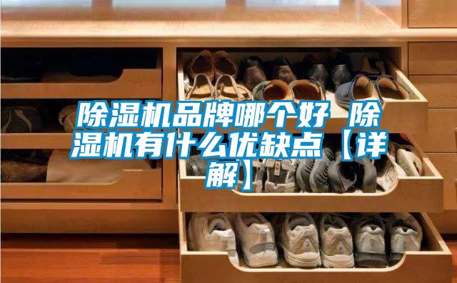 除濕機品牌哪個好 除濕機有什么優(yōu)缺點【詳解】