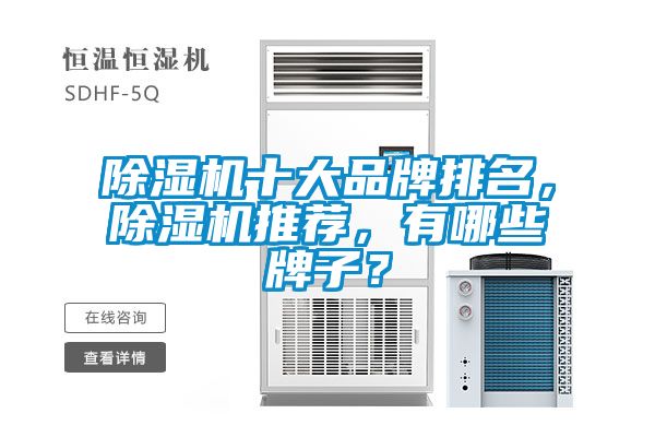 除濕機(jī)十大品牌排名，除濕機(jī)推薦，有哪些牌子？