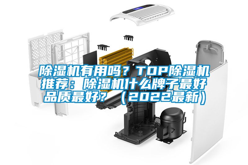 除濕機有用嗎？TOP除濕機推薦：除濕機什么牌子最好品質(zhì)最好？（2022最新）