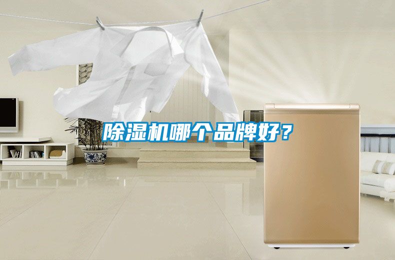 除濕機哪個品牌好？
