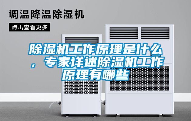 除濕機工作原理是什么，專家詳述除濕機工作原理有哪些