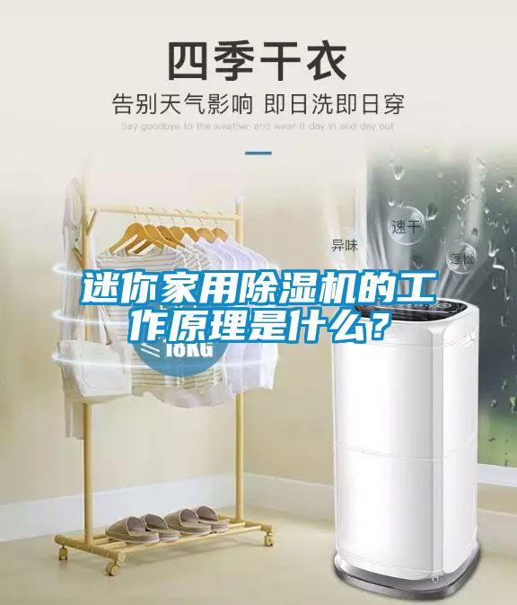 迷你家用除濕機(jī)的工作原理是什么？