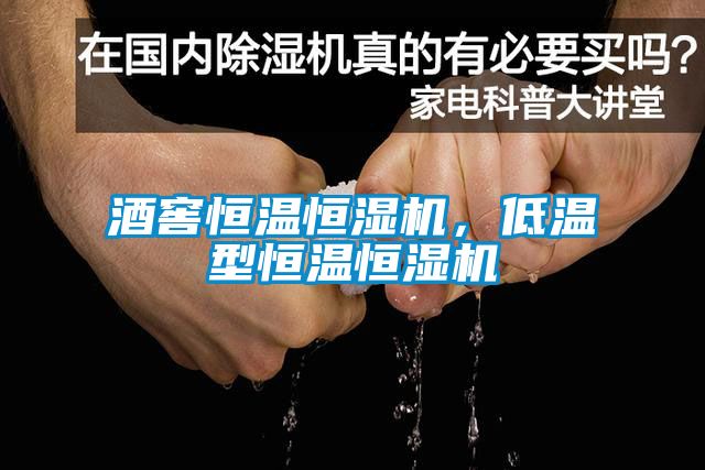 酒窖恒溫恒濕機(jī)，低溫型恒溫恒濕機(jī)