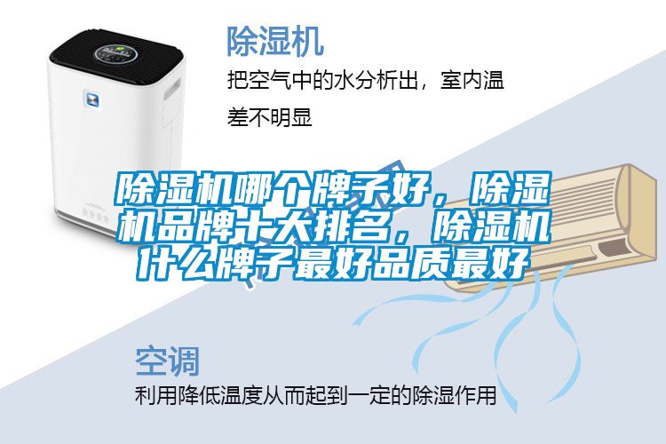 除濕機哪個牌子好，除濕機品牌十大排名，除濕機什么牌子最好品質(zhì)最好