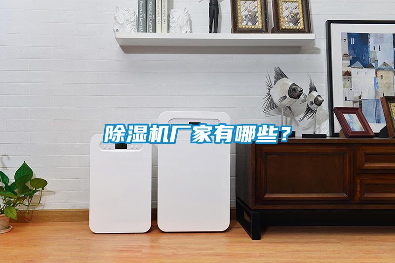 除濕機(jī)廠家有哪些？