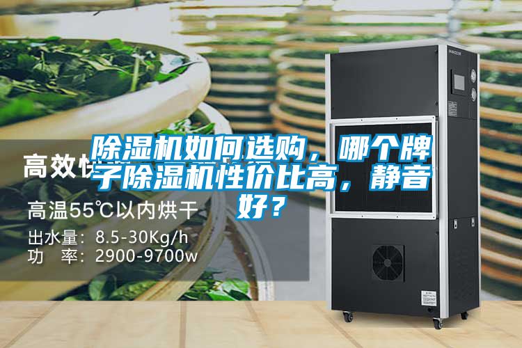 除濕機如何選購，哪個牌子除濕機性價比高，靜音好？