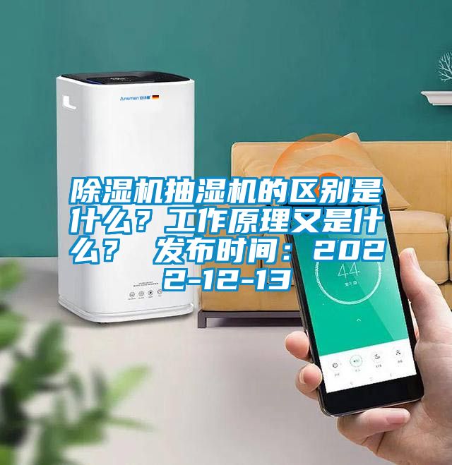 除濕機(jī)抽濕機(jī)的區(qū)別是什么？工作原理又是什么？ 發(fā)布時(shí)間：2022-12-13