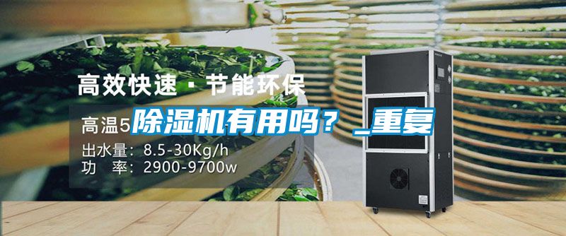 除濕機(jī)有用嗎？_重復(fù)